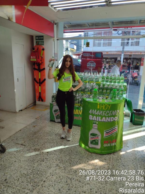 Campañas — Focus Modelos ABTL
