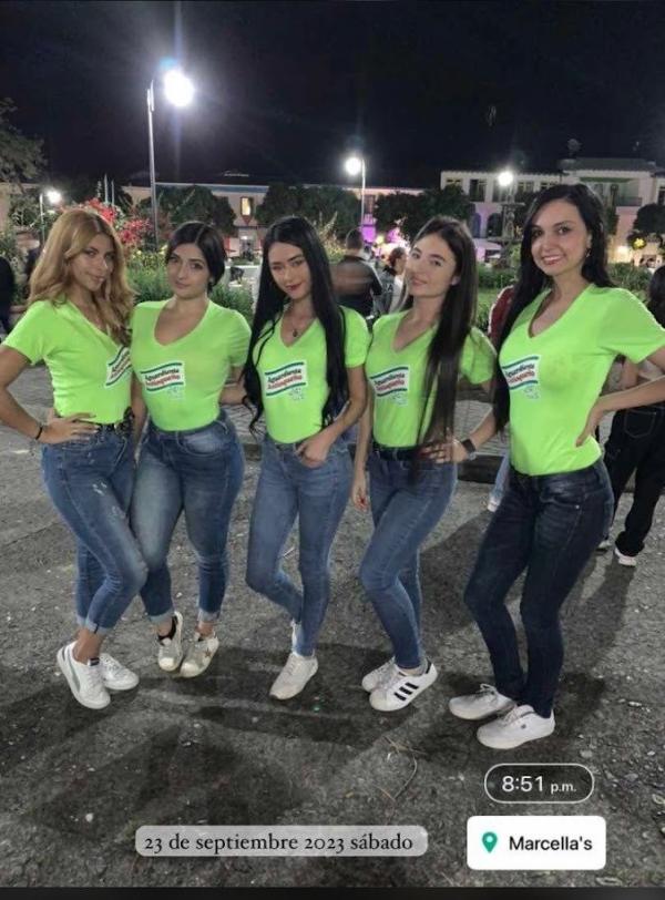 Campañas — Focus Modelos ABTL