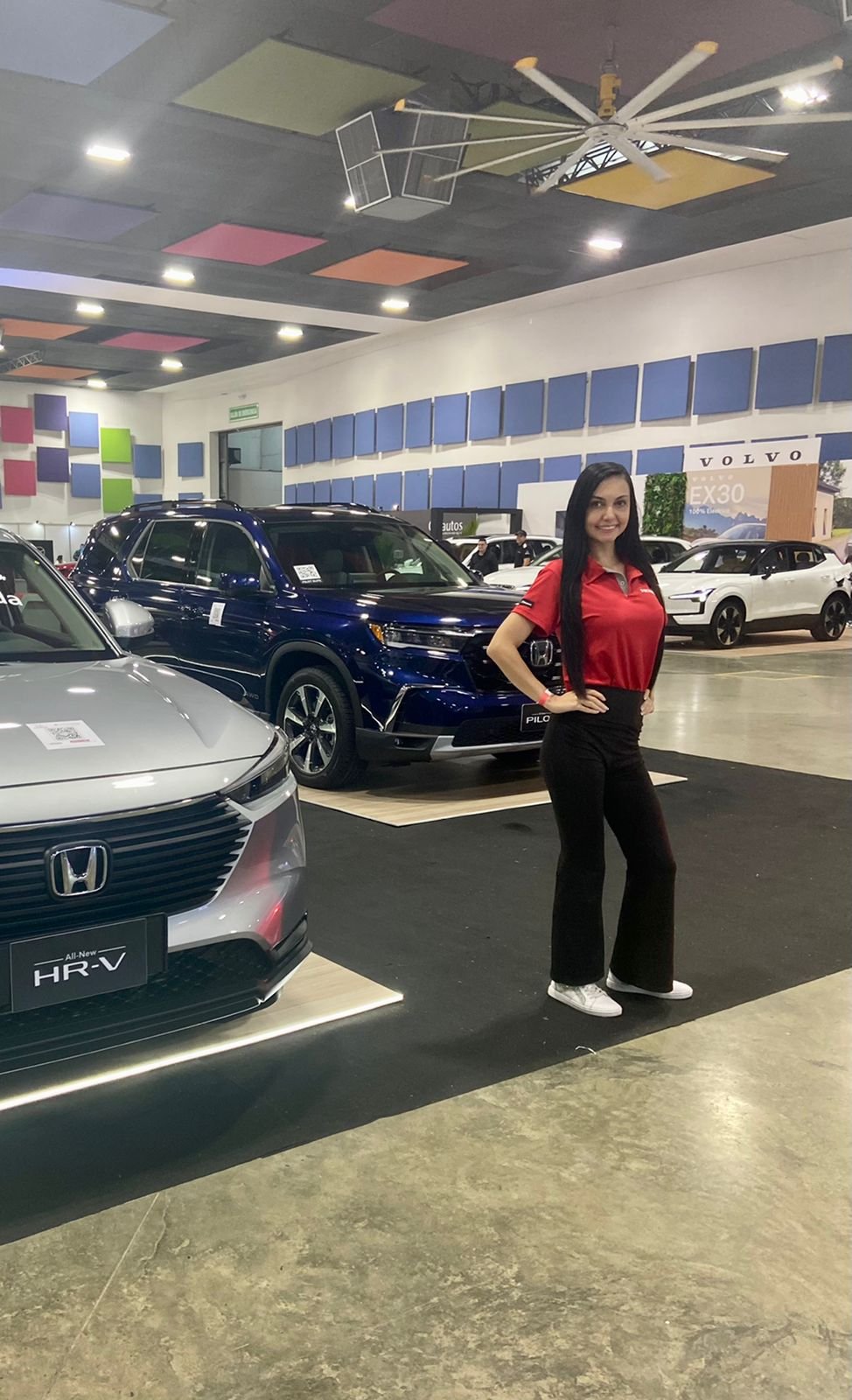Motor vehicle, Car, Automotive lighting, Sport utility vehicle, Luxury vehicle, Family car, Top — Campañas Pereira Manizales Armenia | Focus Modelos ABTL Agencia BTL Eje Cafetero